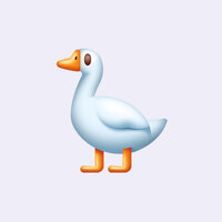 С